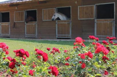La Pouprière Stables, Pension pour Chevaux à Semallé