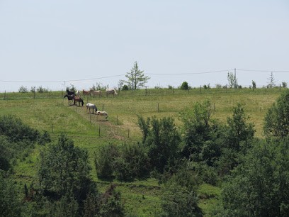 Ferme du Touarnet, Pension pour Chevaux à Traversères