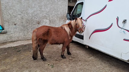 Area Equestrian De Fontcouverte, Centre Equestres à Lalouvesc