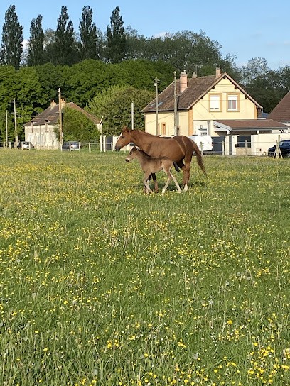 Les Écuries De Cossigny, Centre Equestres à Chevry-Cossigny