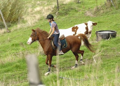 Stud Des Guérets, Centre Equestres à Romans-sur-Isère