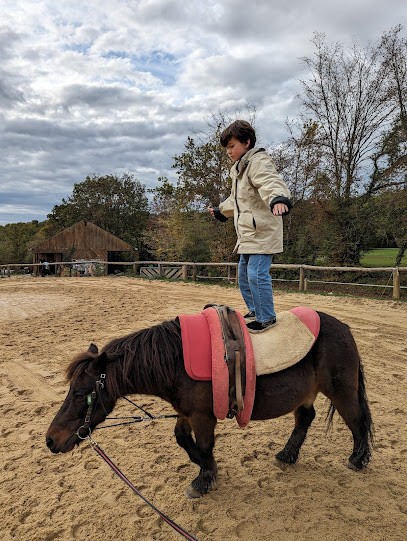 Les Écuries De La Croix Des Bois, Centre Equestres à Montillot