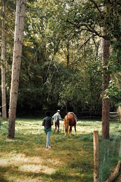 Equestrian Center Vallée, Centre Equestres à Parigné-le-Pôlin