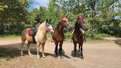 La Cabane Aux Chevaux, Centre Équestre à Varages