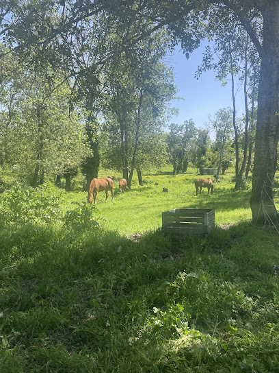 Domaine Équestre De Leca Pension Pour Chevaux à Lamotte-du-Rhône