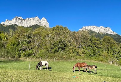 Nature Equestre, Centre Equestres à Alex