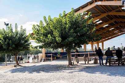 Pony Club De Fenouillet, Centre Equestres à Fenouillet