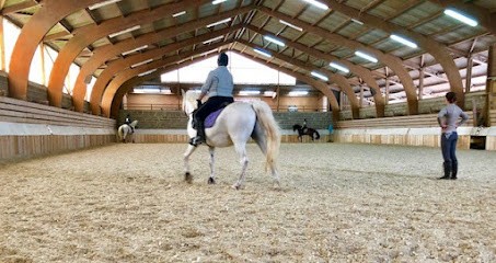 Les Ecuries des Mielles, Pension pour Chevaux à Canville-la-Rocque