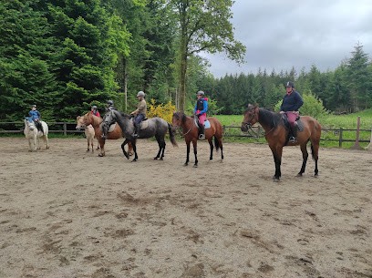 Vassivière horse, Centre Equestres à Royère-de-Vassivière