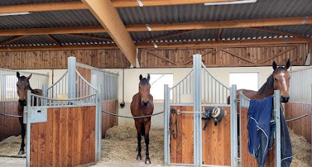 Les Écuries De Lougri, Centre Equestres à Franclens