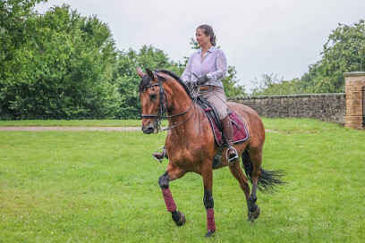 Accords Équestres, Pension Pour Chevaux à Diemeringen