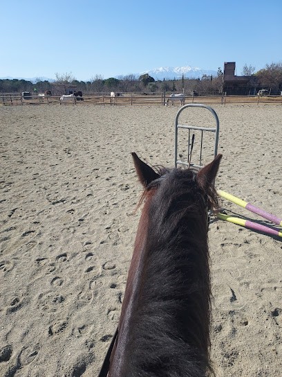 Equestrian Center Perpignan Mas Palegry, Centre Equestres à Perpignan