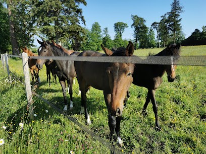 Haras du bois de Formerie, Pension pour Chevaux à Formerie