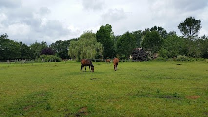Bartres José, Centre Equestres au Barp