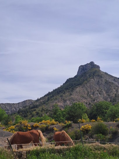 CENTRE EQUESTRE LES EYSSERENNES, Centre Equestres à Savournon