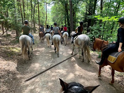Farm Munsch Ranch Du Laubenrain, Centre Equestres à Jungholtz