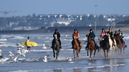 LES ÉCURIES DE SAINT-BREVIN, Centre Equestres à Saint-Brevin-les-Pins