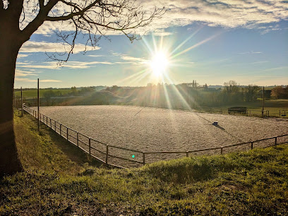 L'impulsion, Pension Pour Chevaux à Chaponnay
