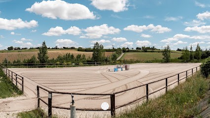 Hippo'thèse, Centre Equestres à Montbrun-Lauragais