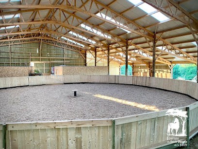 Écuries du Petit Peuple de la Forêt, Pension pour Chevaux au Vieux-Bourg