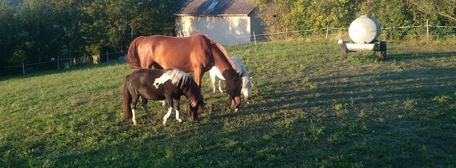 Les Ecuries de Chainaz, Pension pour Chevaux à Menthonnex-sous-Clermont