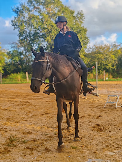 Association Des Terres De L'ôde | Équitation, Centre Équestre à Magné