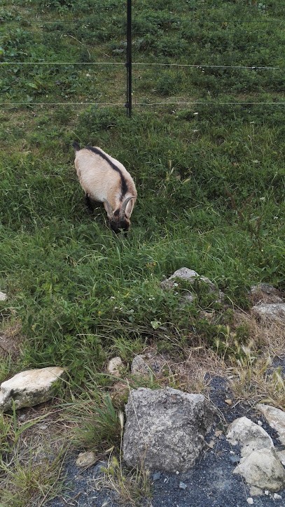 Les Ecuries Du Petit Dan Yannick, Centre Equestres à Hérouville-Saint-Clair