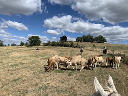 Elevage Du Culty, Pension pour Chevaux à Saint-Jean-Bonnefonds