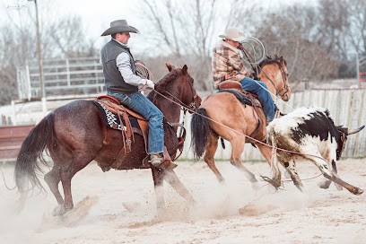 Jra, Centre Equestres à Saint-Martin-de-Crau