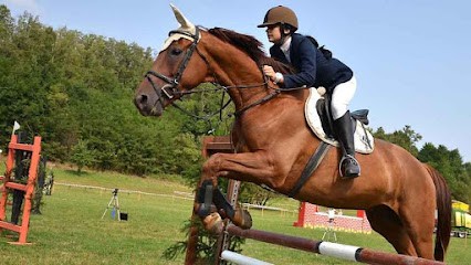 LES CAVALIERS DU RIEUTORD, Pension pour Chevaux à Cournonterral