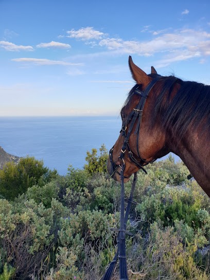 Pony's Team, Centre Equestres à La Trinité