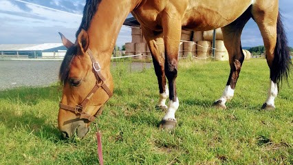 Earl Macre, Centre Equestres à Houdancourt