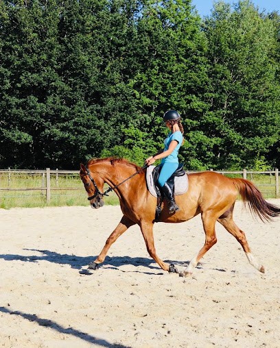 Les Écuries D'urly Pension Pour Chevaux, Centre Equestres à Louzouer