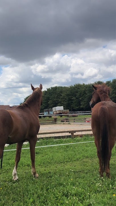 Centre Equestre Les Allees Cavalieres, Centre Equestres à Quetigny