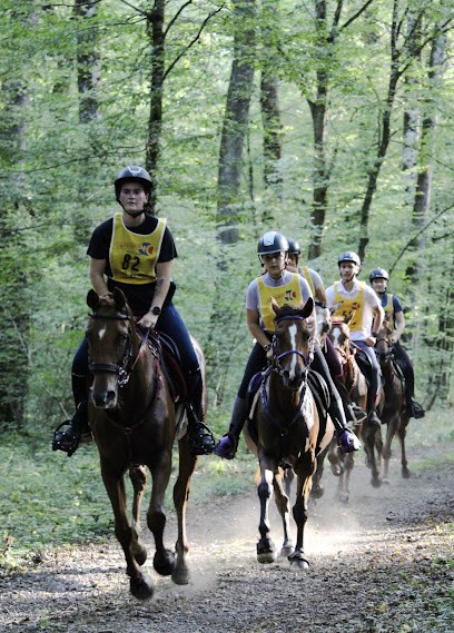 Ecuries du Salon, Centre Equestres à Dampierre-sur-Salon