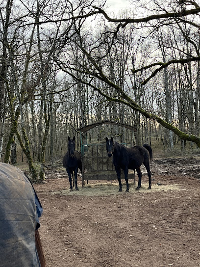 Scea Elevage Du Tavernier Pension Pour Chevaux à Cressensac-Sarrazac