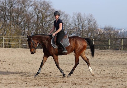 Il Etait Une Fois Sport - EIRL DUCRUET GUILLOT EUGENIE, monitrice indépendante, Centre Equestres à Savigny-en-Revermont