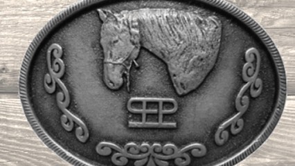 PEP Quarter Horses, Pension pour Chevaux à Saint-Genès-Champanelle