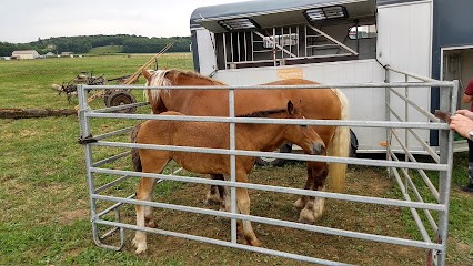 CENTRE EQUESTRE DU MOIROT, Centre Equestres à Écleux