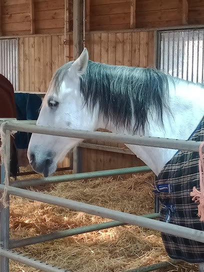 Equestrian Club Of Ponds De Meudon, Centre Equestres à Meudon