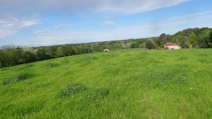 Pension escalette, Pension pour Chevaux à Saint-Martin-de-Hinx