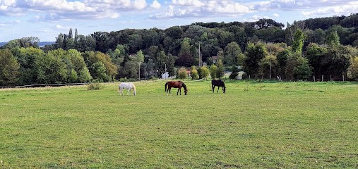 Stud De Stel, Centre Equestres à Lainville-en-Vexin