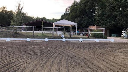 Ecole D Equitation De Genebrieres, Centre Equestres à Génébrières