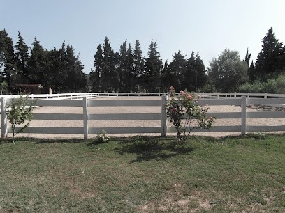 L’Écurie des Alpilles, Pension pour Chevaux à Fontvieille