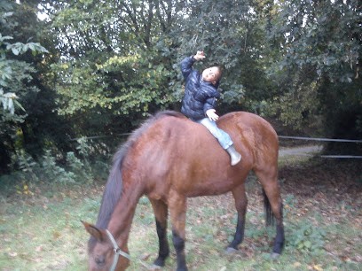 ´´, Pension pour Chevaux à Plouigneau