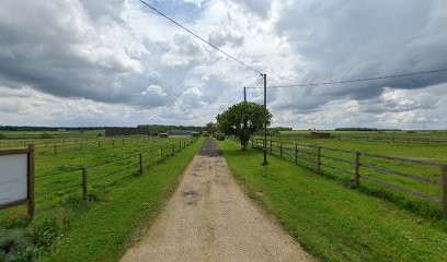 Les Poneys De Guinevolle, Centre Equestres à Jussy-le-Chaudrier