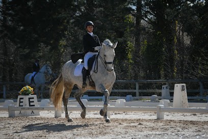 ECURIE DU REAL, Centre Equestres à Jonquerettes