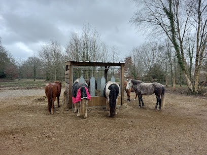 domaine equestre aux prés d'ulysse, Pension pour Chevaux à Terres de Druance