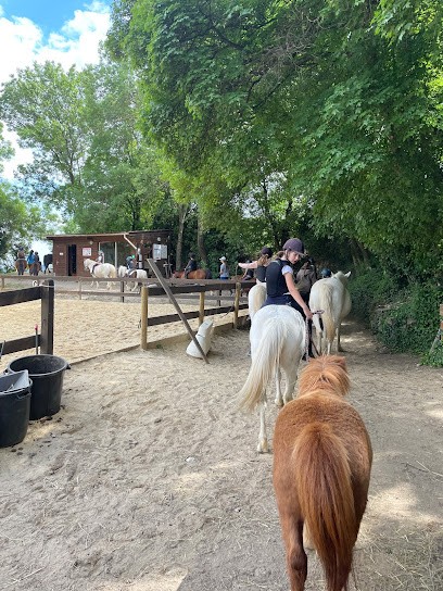 ECURIES DE ROCNOIR, Centre Equestres à Lavalette