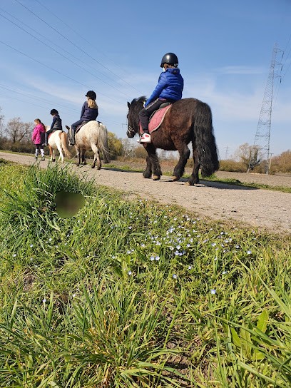 Equestrian Center Les 2v, Centre Equestres à Dechy